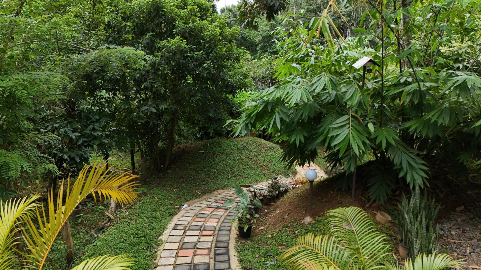 Casta Wild Resort Batheri Buitenkant foto