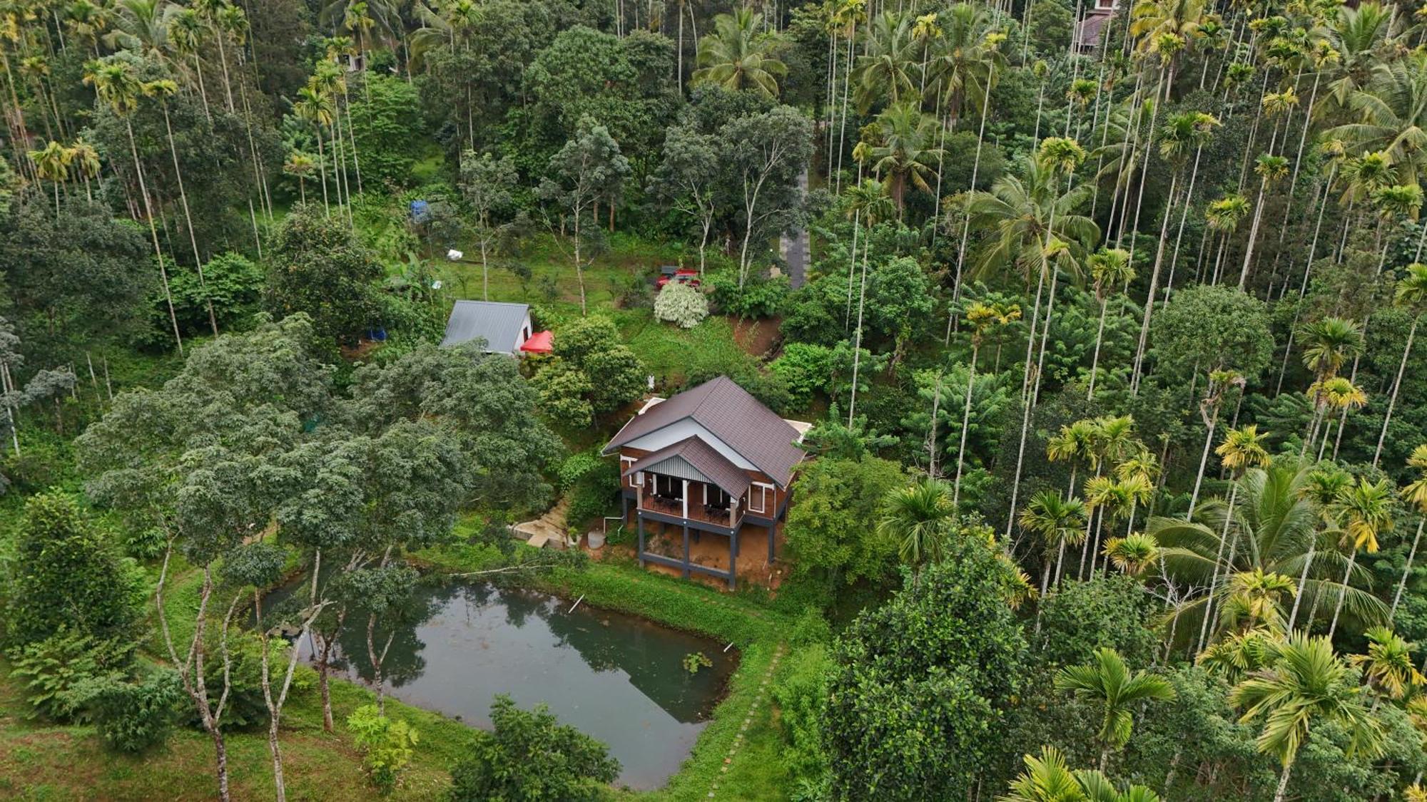 Casta Wild Resort Batheri Buitenkant foto